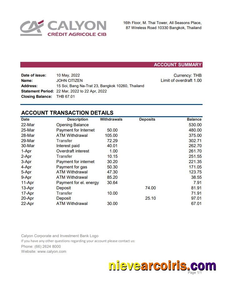Thailand Calyon bank statement xls